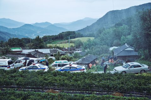 The Wailing 2016