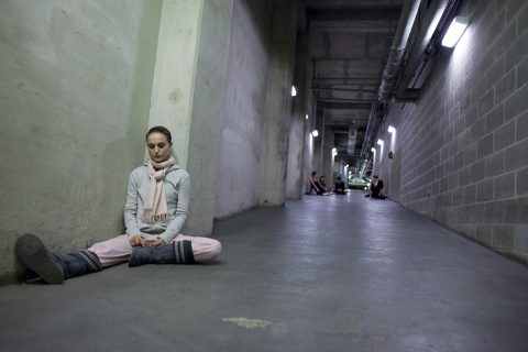 Black Swan 2010