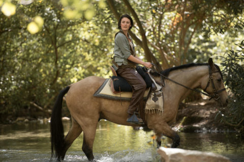 Ostwind 3 - Aufbruch nach Ora 2017