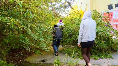 Das Gegenteil von Grau 2017