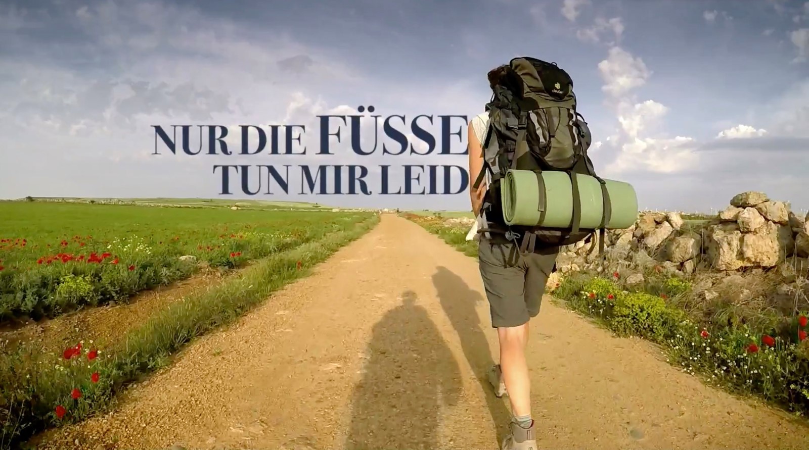 Nur Die Füße Tun Mir Leid Stream Online