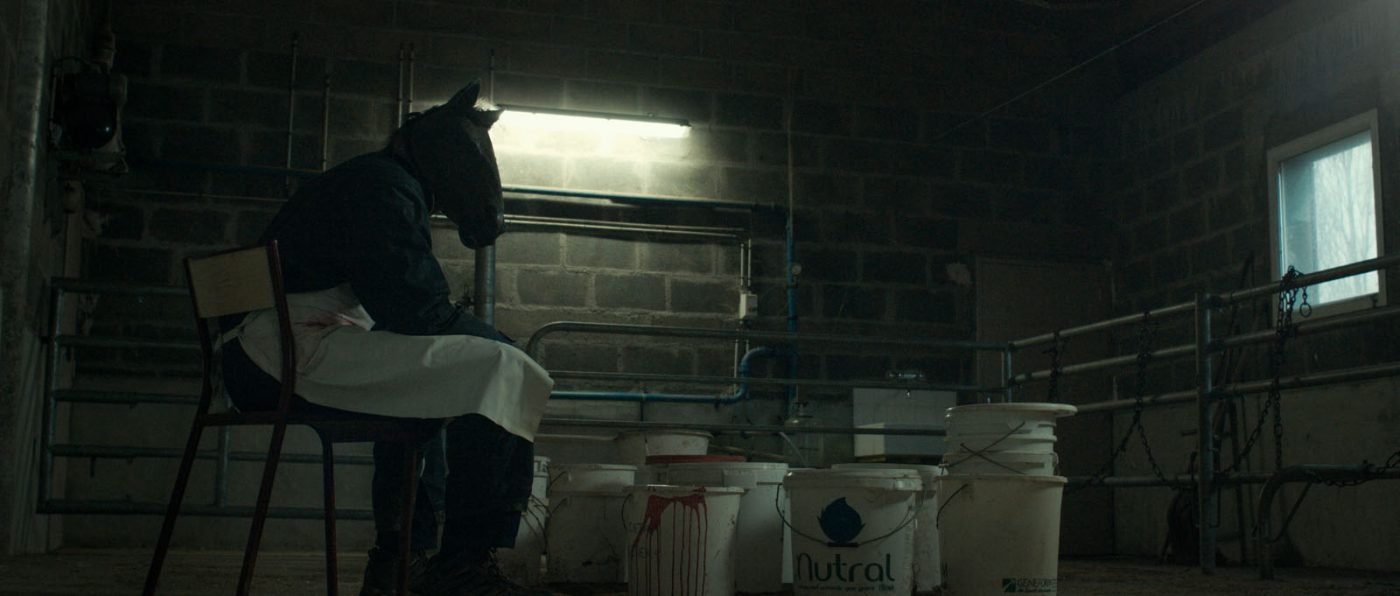 Anonymous Animals 2020 Düsseldorfer Filmkunstkinos