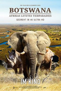 botswana - 2020 -poster