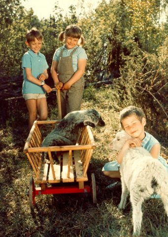 Ferien auf Saltkrokan - 1968
