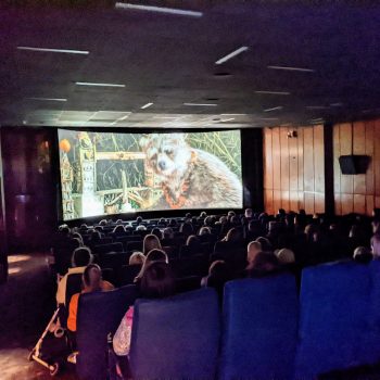 Kino für Geflüchtete: Paddington 2022