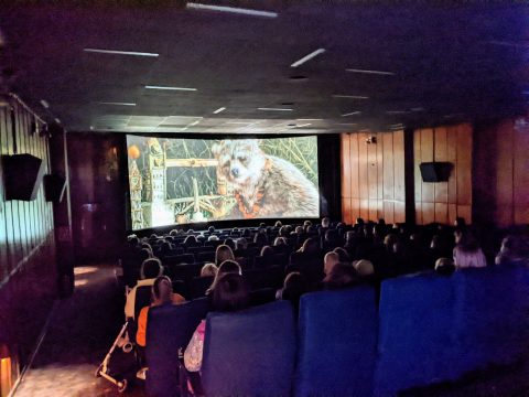 Kino für Geflüchtete: Paddington 2022
