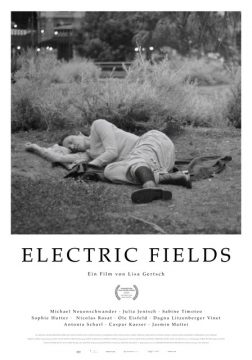 Electric Fields - 2024