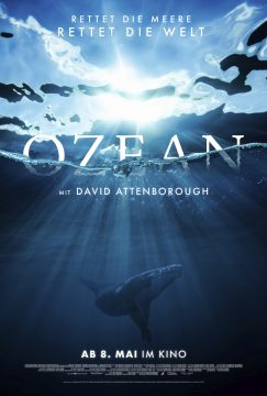 Ocean - 2025