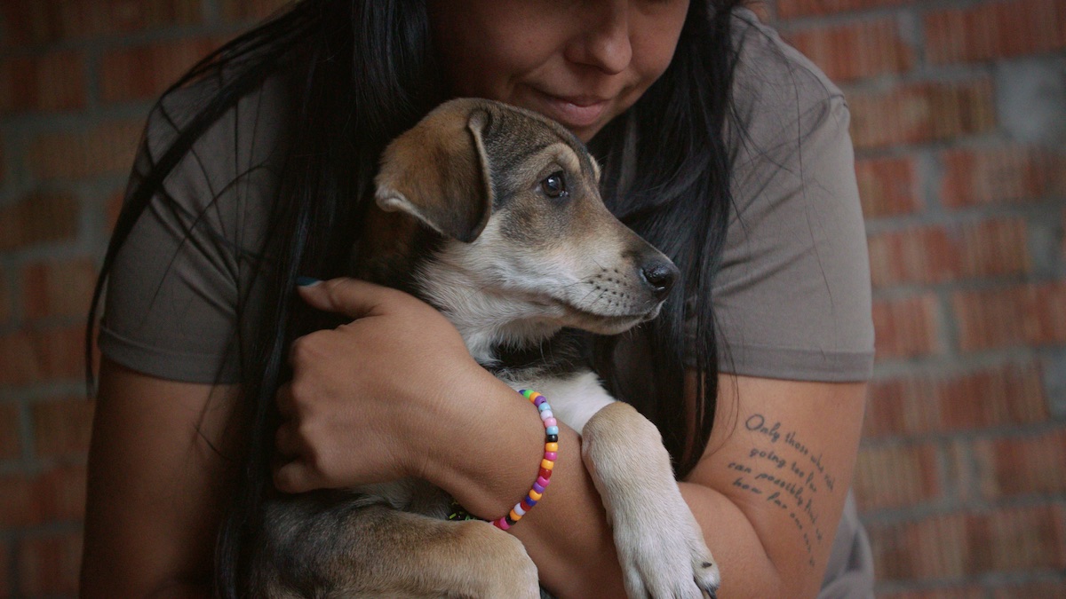 Us, Our Pets and the War - 2024