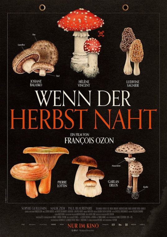 Wenn der Herbst naht - 2024