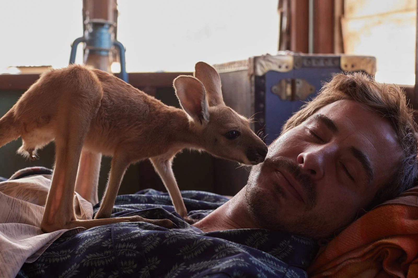 Lilly und die Kängurus - 2025