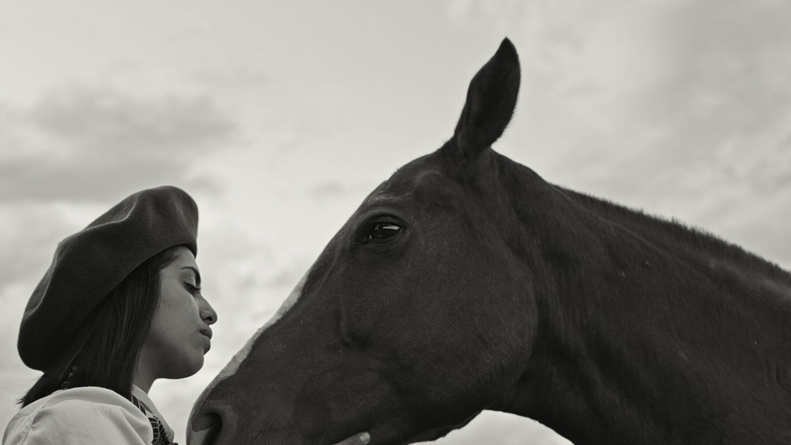 Gaucho Gaucho - 2024