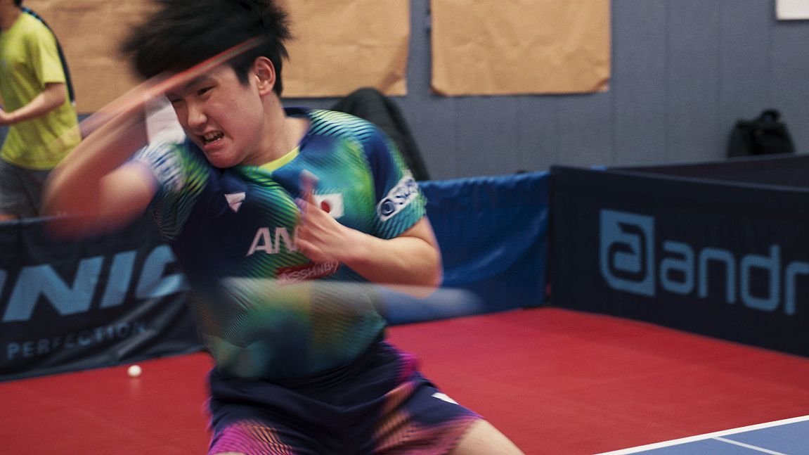 Ping Pong Paradise - 2025