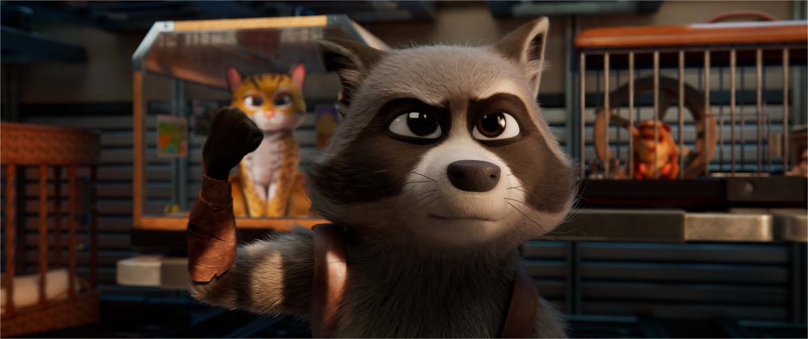 Pets On A Train (Falcon Express) - 2025