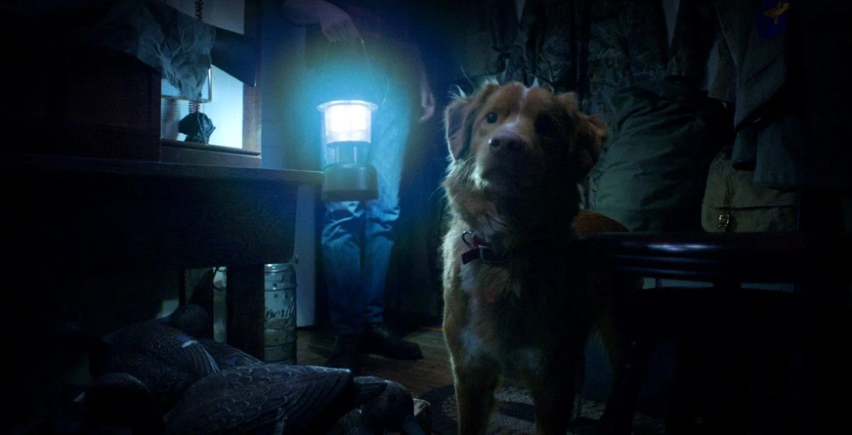 Good Boy - 2025