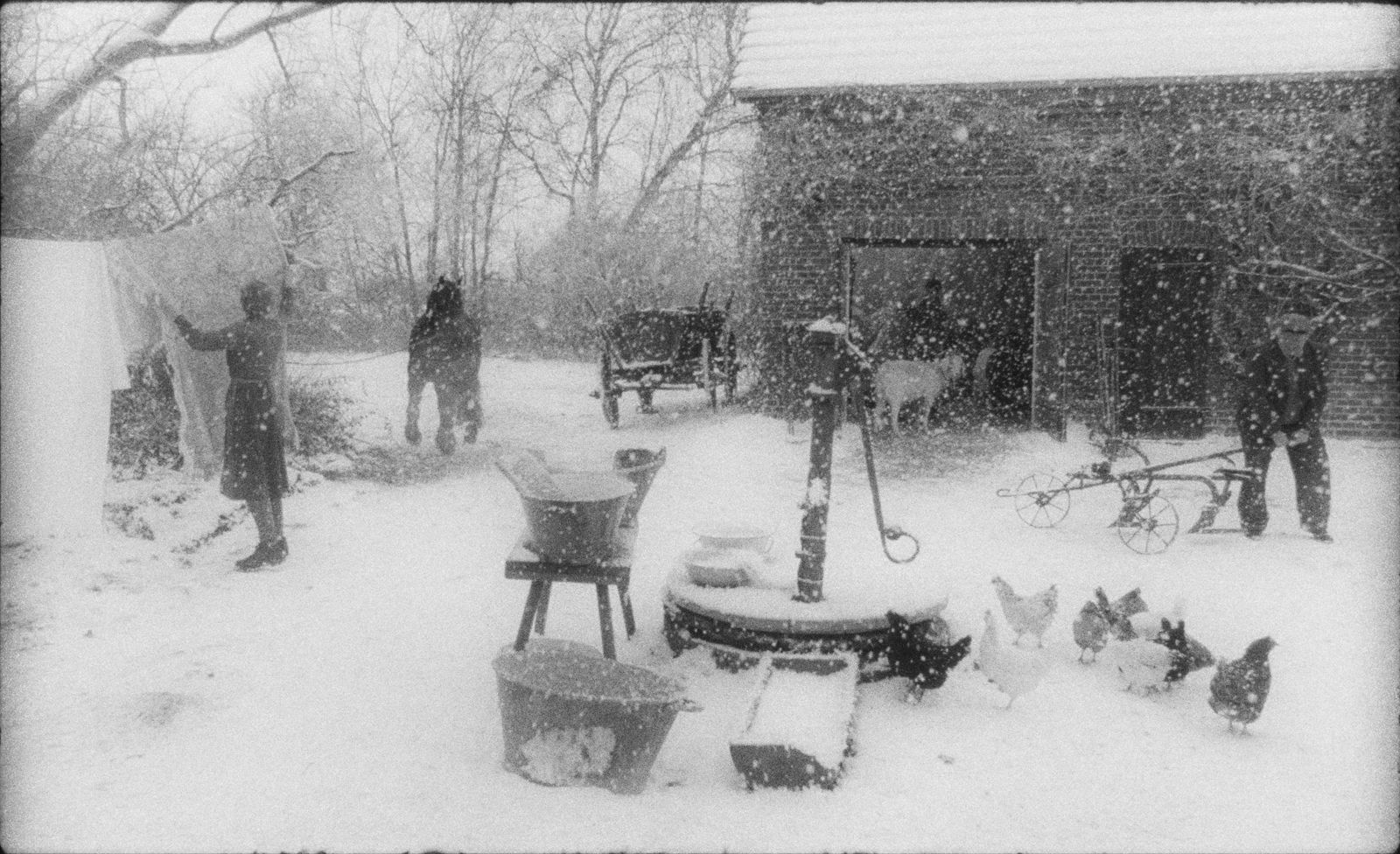 Rote Sterne überm Feld - 2025