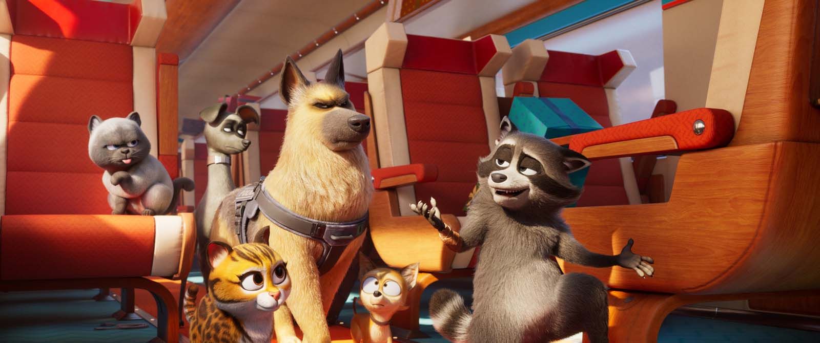 Pets On A Train (Falcon Express) - 2025
