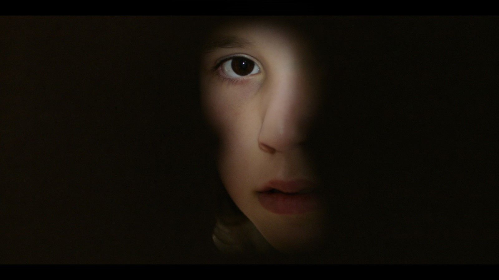 Ein Haus in Jerusalem - 2025