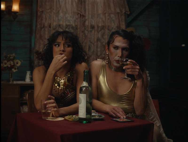 Der geheimnisvolle Blick des Flamingos - 2025