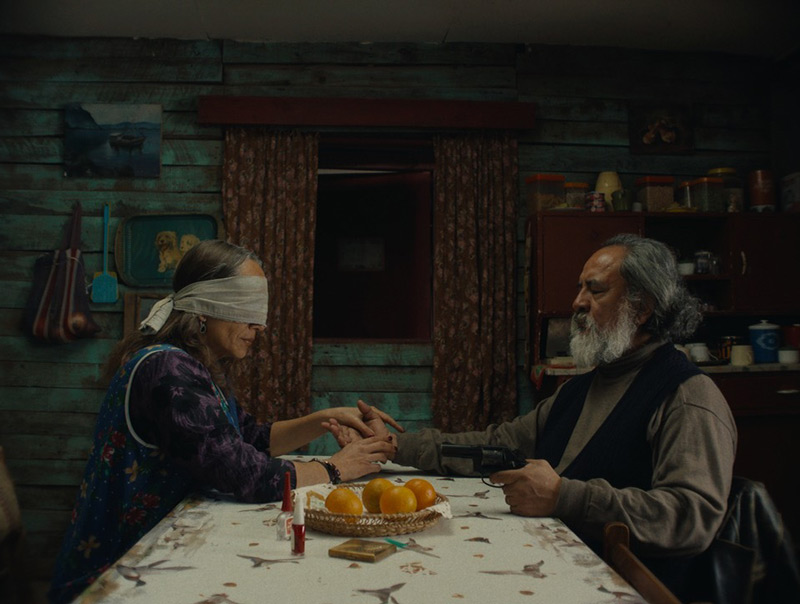 Der geheimnisvolle Blick des Flamingos - 2025