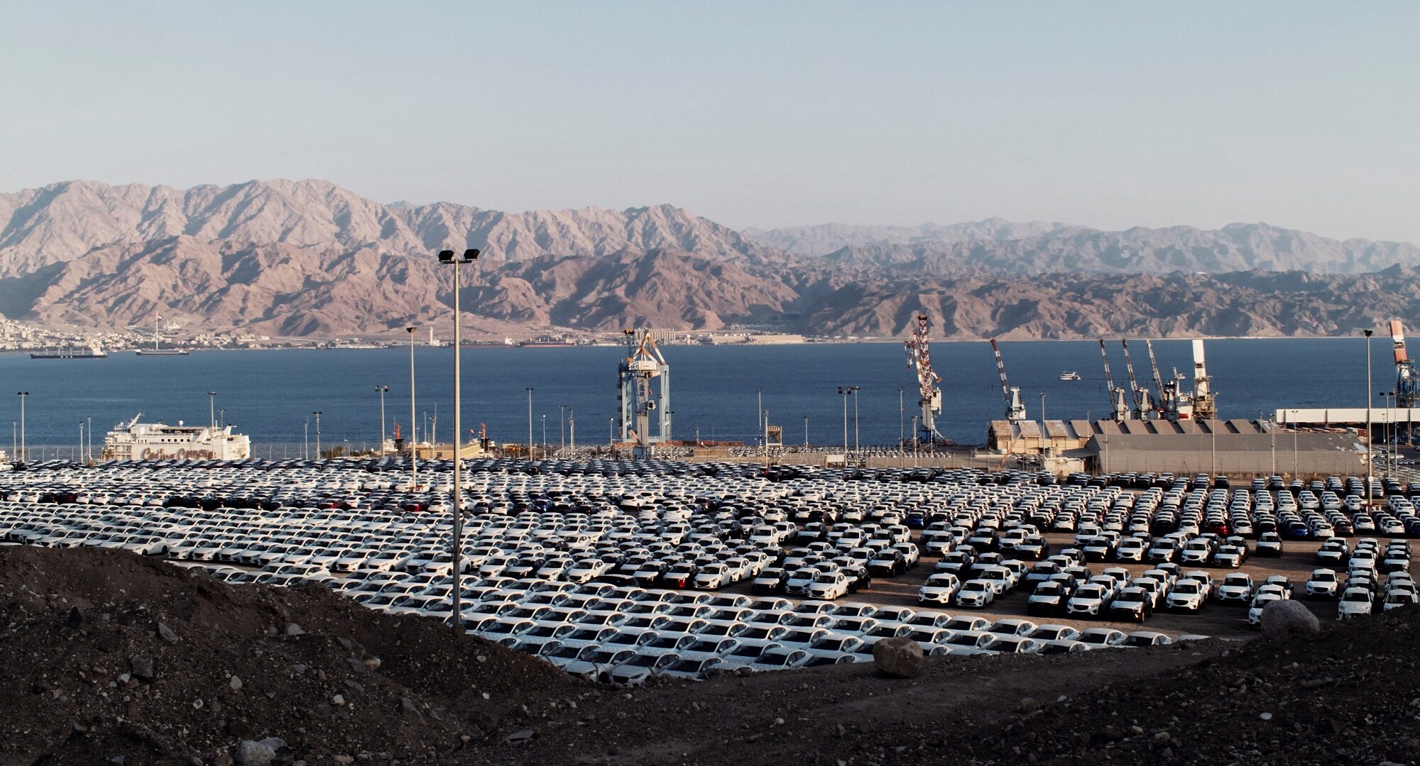 SR - Die Giraffe - 2024