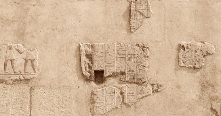 SR - Die Giraffe - 2024