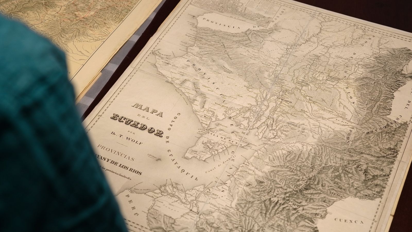 Wir, die Wolfs - 2025