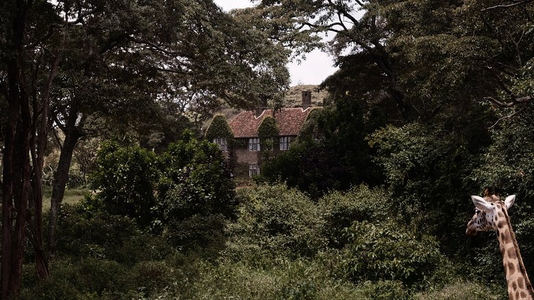 SR - Die Giraffe - 2024