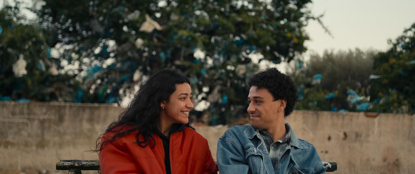 Wohin der Wind uns trägt - 2026