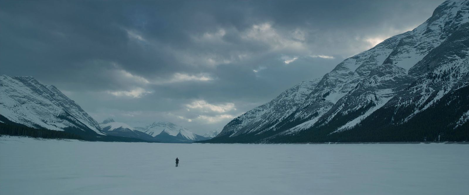 The Revenant - Der Rückkehrer - 2015
