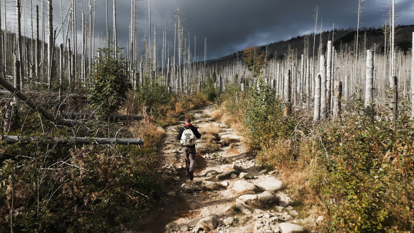 Das Gewicht der Welt - 2025