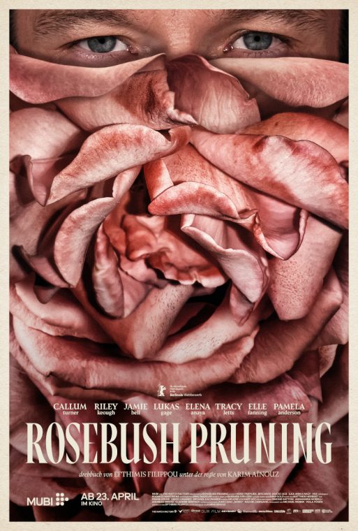 Rosebush Pruning - 2026