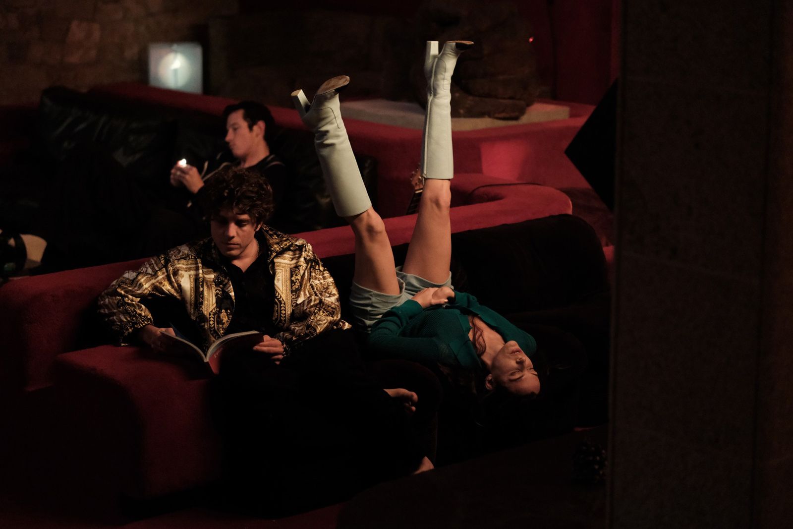 Rosebush Pruning - 2026