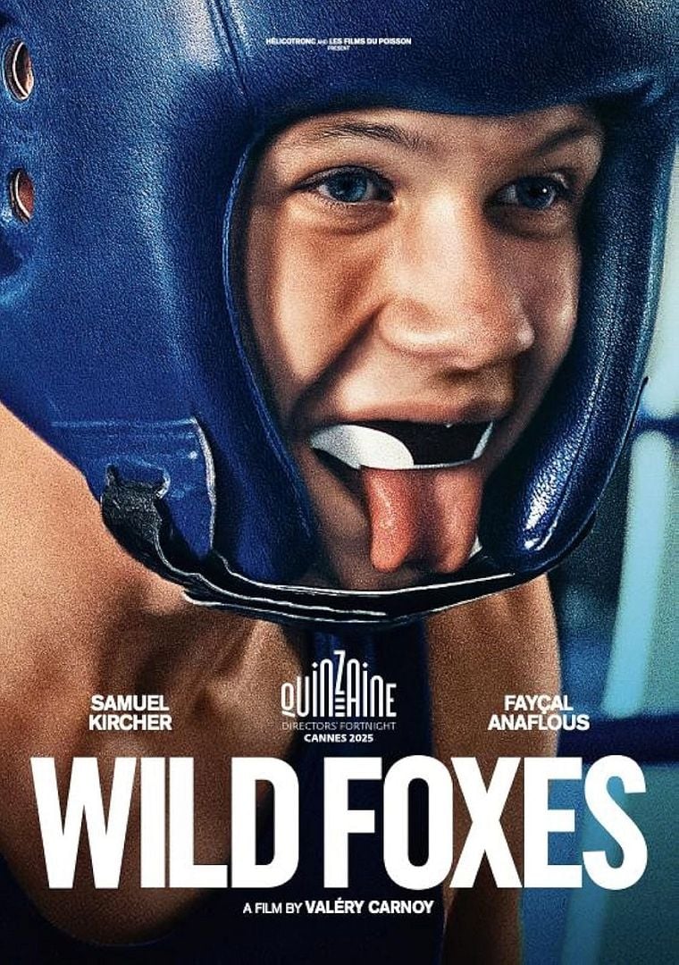 Wild Foxes - 2025