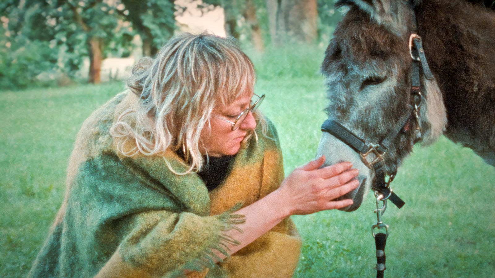 Donkey Days - 2025