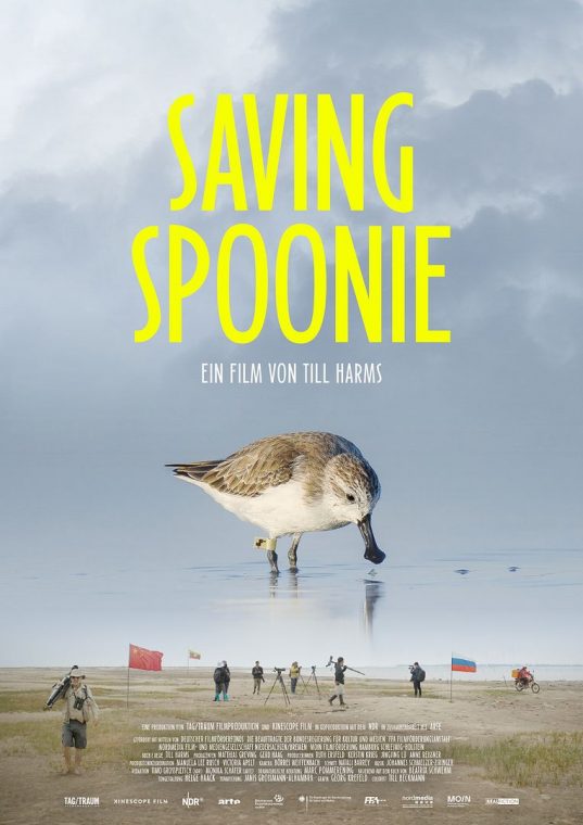 Saving Spoonie - 2026
