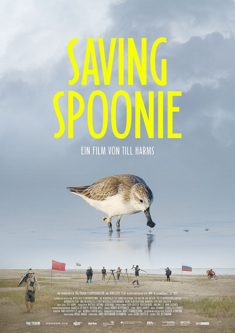Saving Spoonie - 2026