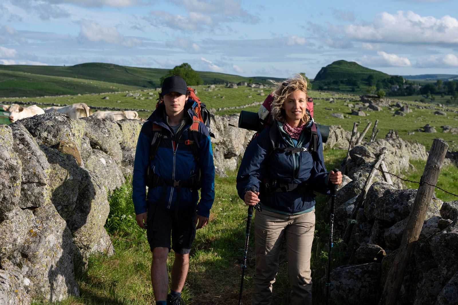 Die Camino-Therapie - 2026