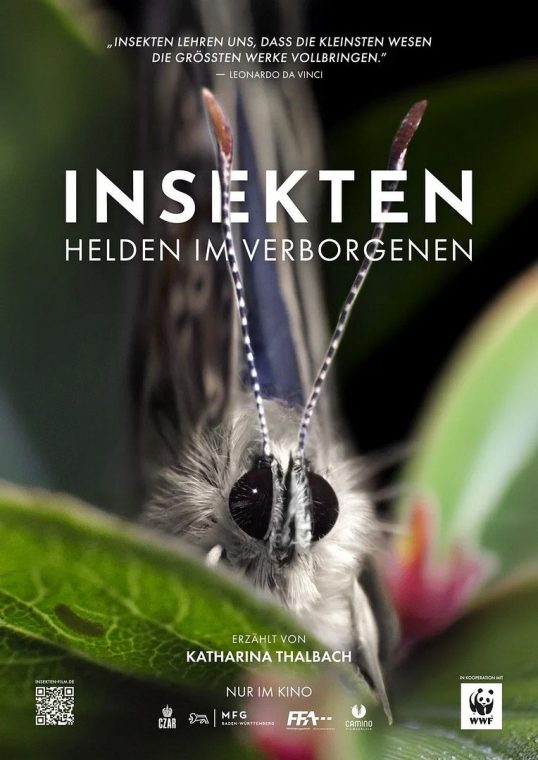 Insekten - 2026