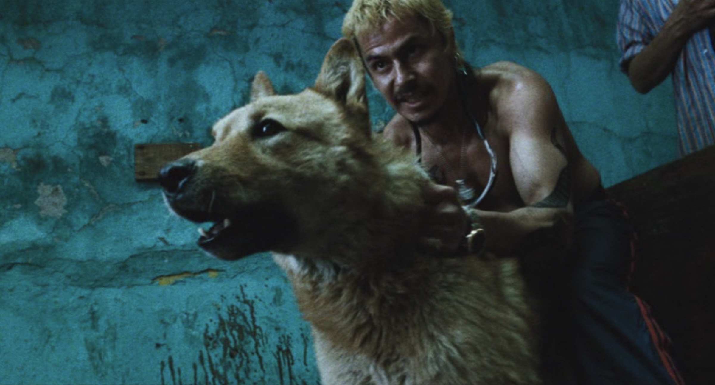 Amores Perros - 2001