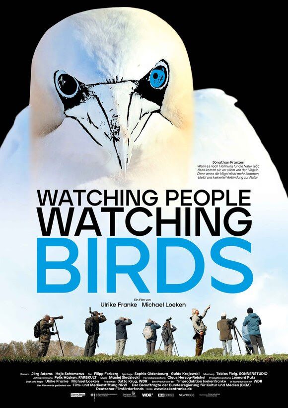 Watching People Watching Birds - 2026