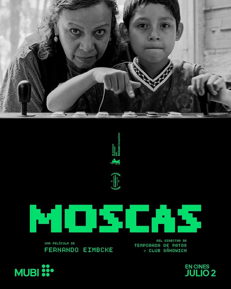 Moscas - 2026