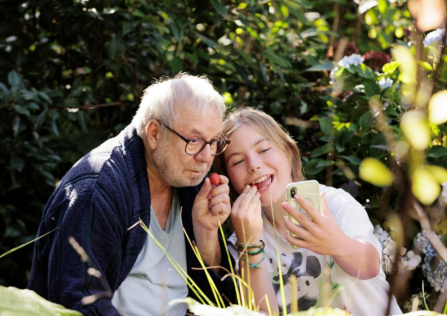 Alte Liebe - 2026