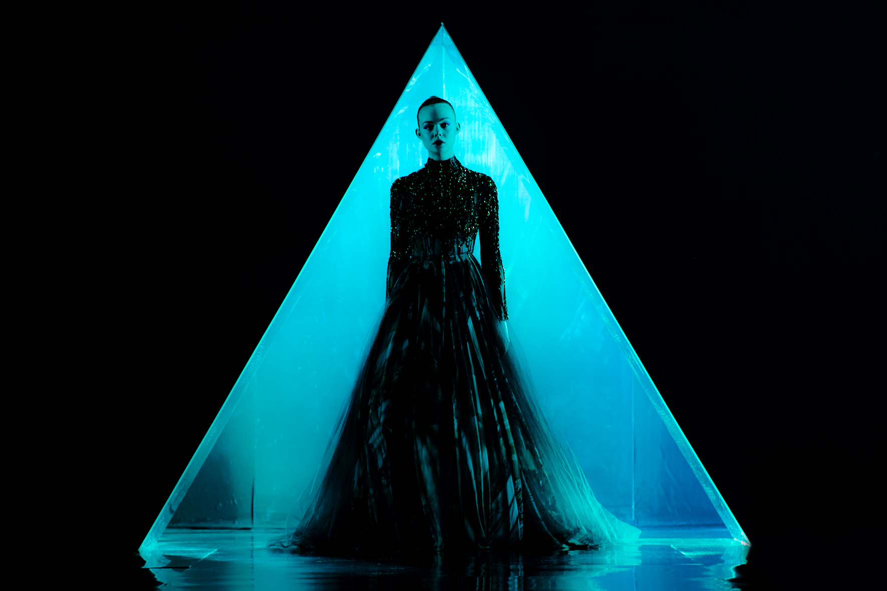 The Neon Demon - 2016